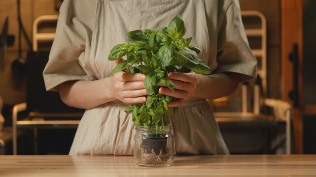Medium shot of a woman in a linen apron gently touching a fresh green potted basil plant in a glass jar in a warm-lit kitchen. Cozy home cooking, organic culinary, and recipe content.