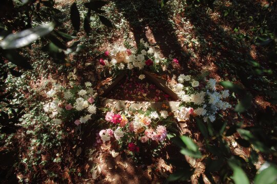 Floral arrangement creates serene triangle in forest. Flowers include pink, white, and yellow blooms surrounding soft earth tones. Natural light filters through leaves
