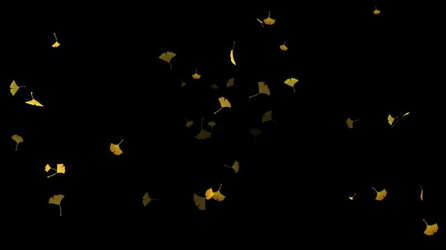 水彩風 黄金色のイチョウが中央から舞う[4K-背景透過] Autumn Series:Watercolor-style golden ginkgo leaves fluttering outward from the center[with Alpha Channel / Transparent Background]4K