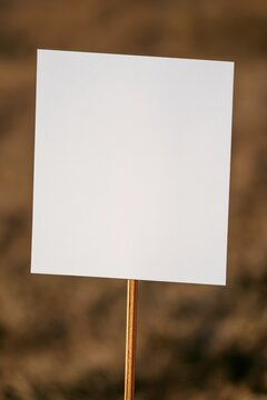 Economical paper placard on a stick for simple outdoor announcements