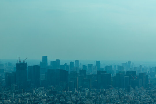 Tokyo Neighborhoods and Sports Fields from Above