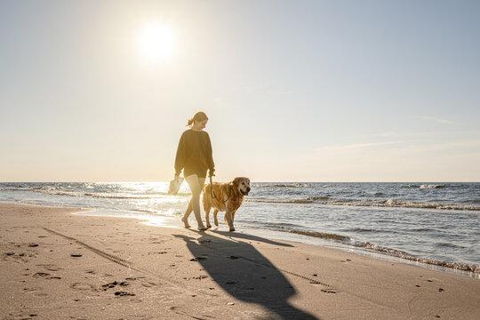 Woman carries running shoes and walks beside her friendly dog along wet shoreline during golden hour