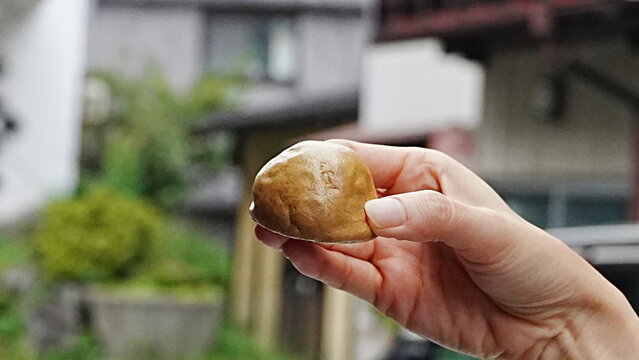伊香保温泉名物 勝月堂の湯の花まんじゅう（温泉街での食べ歩き・和菓子手持ち写真）