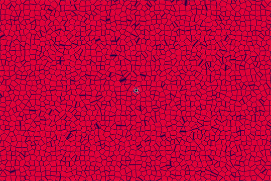A dynamic abstract background featuring a vibrant red Voronoi diagram with dark, irregular polygonal tiles creating a continuous cellular mesh network.