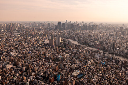 Tokyo Cityscape in Warm Hazy Evening Light