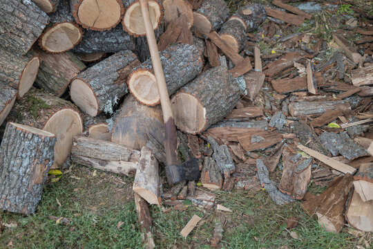 An old sharp axe leaning against a large pile of freshly chopped firewood logs outdoors on the grass, scattered tree bark pieces and wooden debris surrounding the logging tool in a rustic yard.