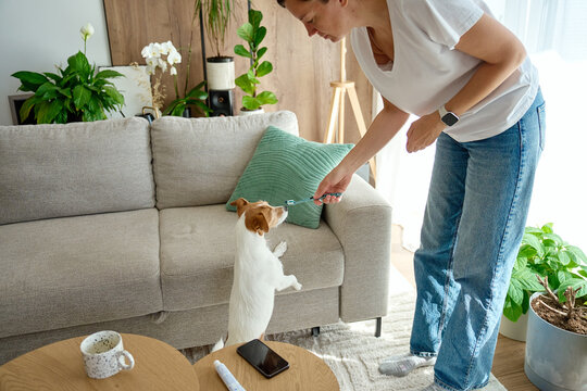 Woman showing a dog a toothbrush before brushing teeth at home