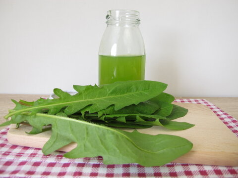 A bottle of freshly pressed dandelion leaf juice