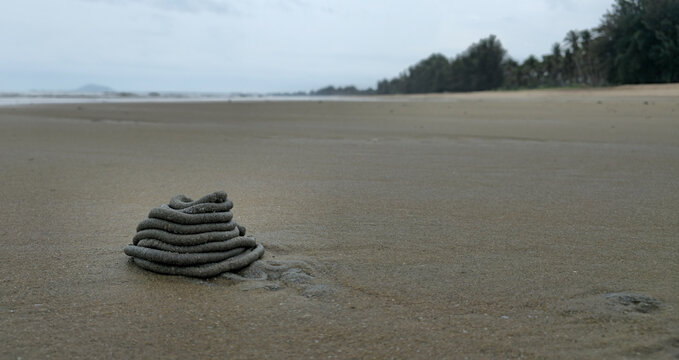 Sand Worm Castings on a Wet Beach After Low Tide