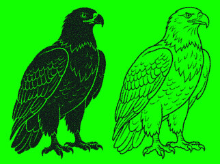 Fototapeta premium Eagle stipple illustration vector featuring detailed black silhouette and elegant line art of standing bird of prey on bright green backdrop.