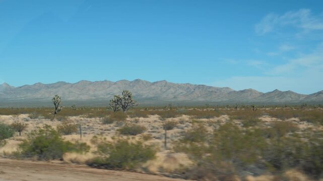 Roadside view from moving car capturing arid landscape of mojave desert, featuring joshua trees and distant mountains under clear blue sky on a sunny day in california