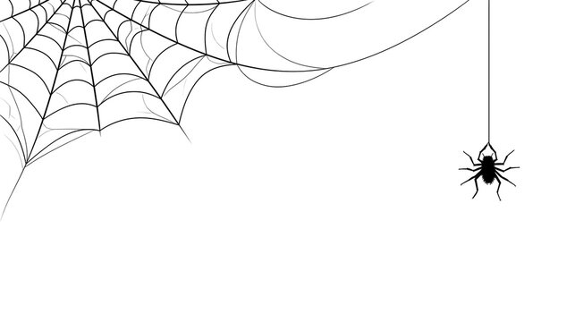 Black spider hanging from a corner spiderweb silhouette