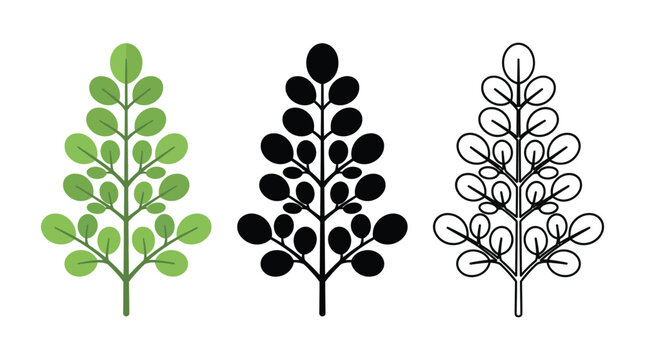Moringa leaves branch set with round green foliage for superfood supplement label design.
