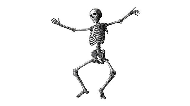 Human skeleton in a dynamic dancing pose with arms outstretched
