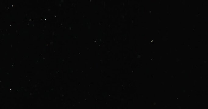 Tiny snow or dust randomly flying in the smoky air, empty space template for objects advertisement. Many dust particles cloud of white powder in low light on empty dark black contrast background.