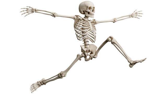 Human skeleton in dynamic running pose with arms outstretched
