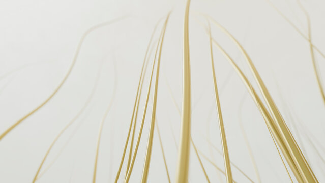 Thin beige curved strands in abstract minimalist design
