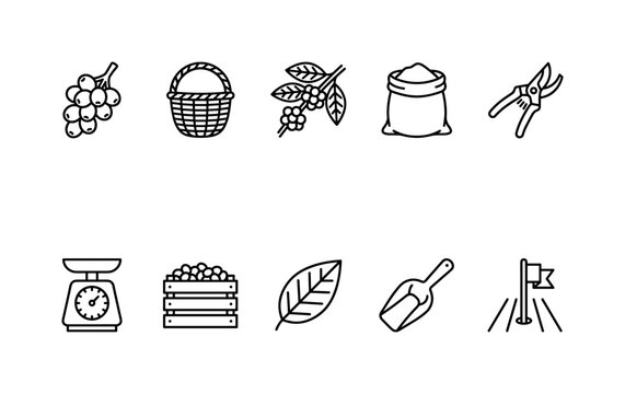 Coffee Cherry Harvest, line icon set featuring coffee cherries, harvest basket, coffee branch, farm sack, pruning shears, weighing scale, plantation crate, leaf, scoop and field marker, covering