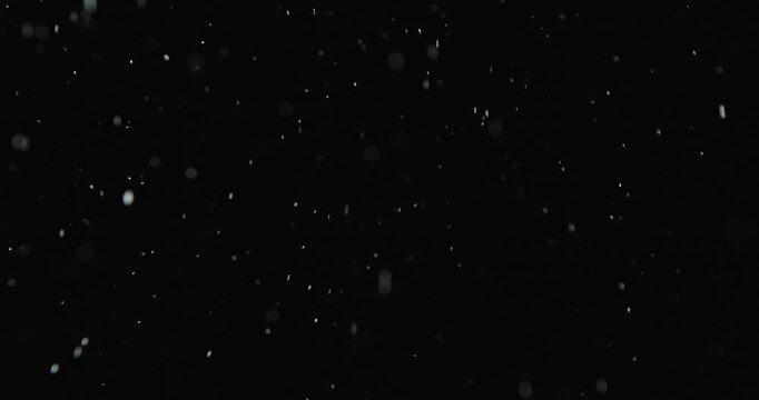 Tiny snow or dust randomly flying in the smoky air, empty space template for objects advertisement. Many dust particles cloud of white powder in low light on empty dark black contrast background.