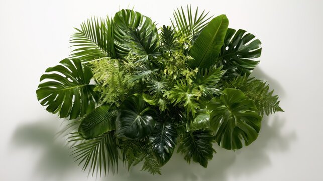 Green tropical plant bouquet with large leaves on a clean white surface