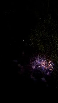 A colorful fireworks display bursting through the tree branches in the night sky. A festive and dramatic celebratory atmosphere