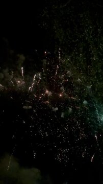 A vibrant and colorful fireworks display exploding in the dark night sky. A festive atmosphere