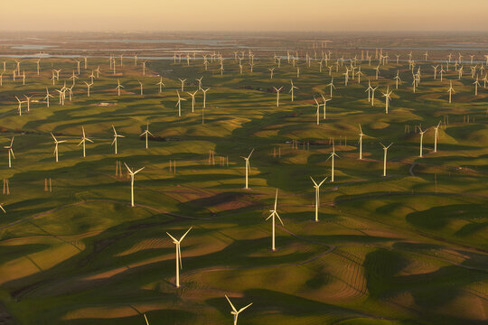Aerial view of wind turbines in the rolling green hills during golden hour, with long shadows cast across the landscape. Rio Vista, California, United States.