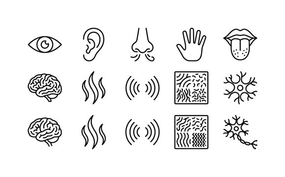 Five Senses Symbols, line icon set featuring eye, ear, nose symbol, handprint, tongue symbol, sensory brain, aroma waves, sound waves, texture sample, covering five senses, vision, hearing, touch,