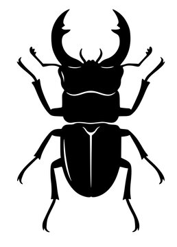 Stag Beetle Silhouette Vector Illustration