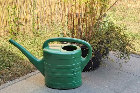 Green watering can placed next to plants in a garden on a sunny day