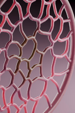 3D Pink Organic Network