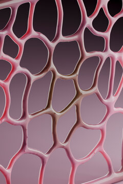 3D Neural Mesh Pattern