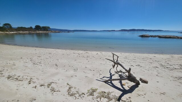 Idyllic landscape of a wild, idyllic beach with a log on the sand.