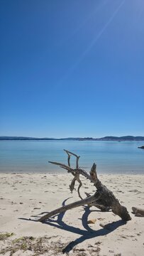 Idyllic landscape of a wild, idyllic beach with a log on the sand.