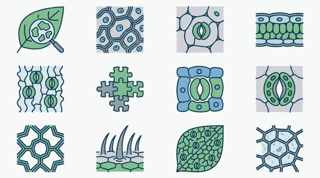 Botanical plant cell anatomy icons set featuring leaf tissue structure, stomata pores, guard cells, epidermis cross-sections, and trichome hair cells for biology science studies.