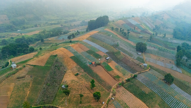Aerial view of terraced agricultural fields on a hillside with small huts and scattered trees in the misty landscape of Sukabumi, West Java, Indonesia.
