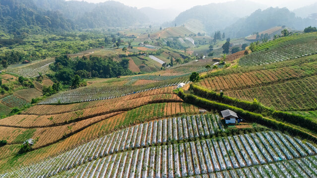 Aerial view of terraced agricultural fields with plastic-covered crops and small huts nestled in the rolling hills of Sukabumi, West Java, Indonesia.
