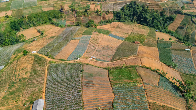 Aerial view of terraced agricultural fields with diverse crop patterns, winding dirt paths, and small rural structures in the hilly landscape of Sukabumi, West Java, Indonesia.