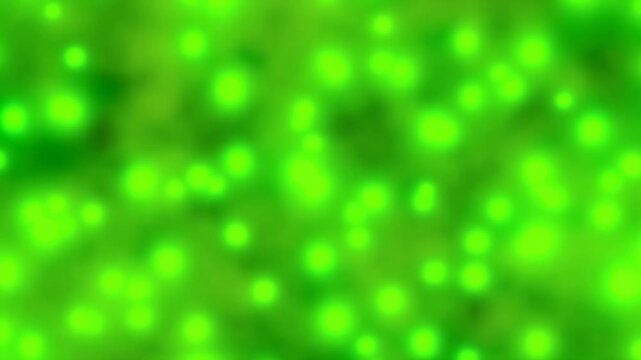 Bright green circular light spots drift across a soft-focus emerald field, gently shifting position and brightness while overlapping into layered glowing clusters and diffuse abstract patterns
