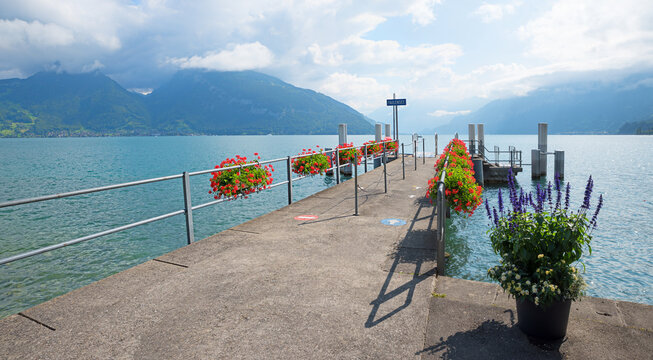 landing stage Faulensee with geranium flowers. lake Thunersee Bernese Oberland