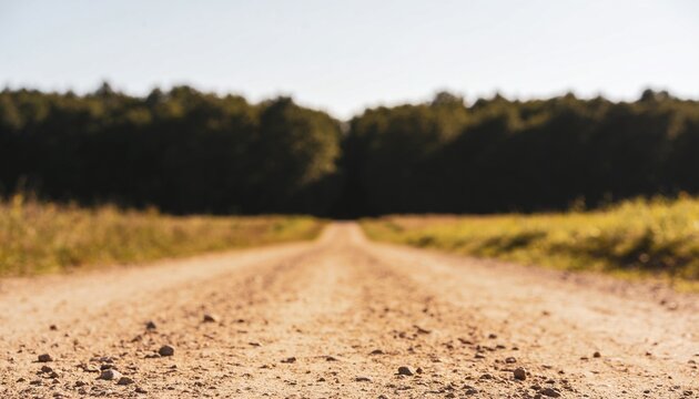 Stretching unpaved dirt road revealing tire ruts and pebbles in rural fields toward tree line