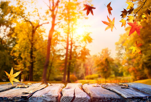 Autumn Table In Park - Falling Leaves With Sunlight And Wooden Plank - Sunshine Effect And Defocused Background