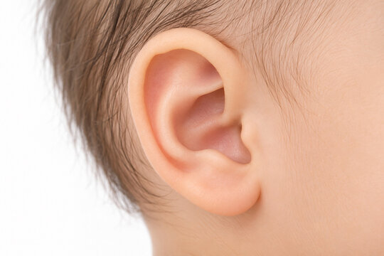 Close-up of a newborn baby ear showing delicate skin