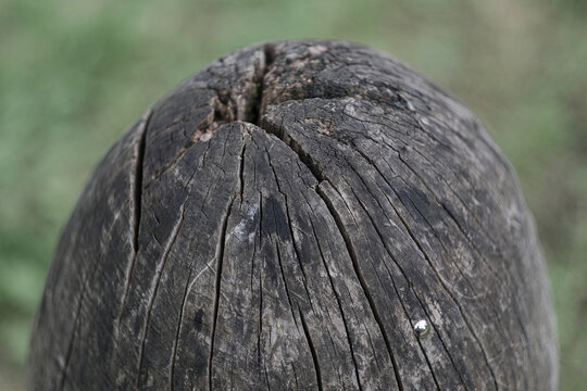 Old cracked wooden post with dark rough surface. Deep lines and splits on top. Soft green blurred background makes the wood texture easy to see.