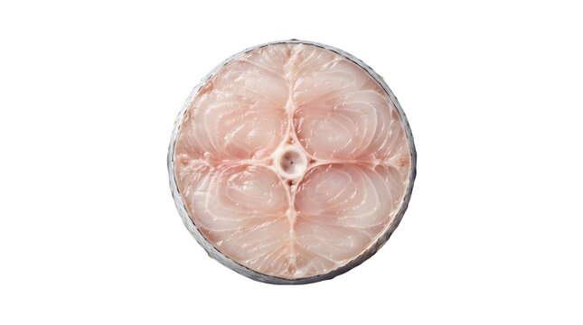 Fresh raw king mackerel steak isolated on white background, round cross section of kingfish fillet, uncooked seafood slice for healthy cooking