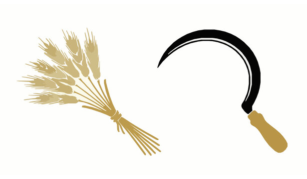 Golden Wheat Stalk Bundle with Traditional Harvesting Sickle Vector Illustration