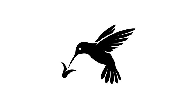 Hummingbird silhouette flying toward flower on white background.