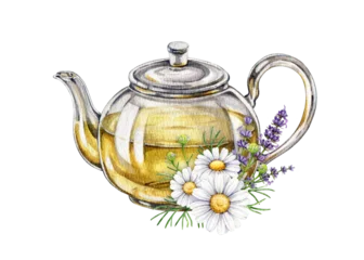 Glass teapot with chamomile and lavender flower, herbal tea hand painted watercolor illustration isolated on background. Herbal tea for packaging, wellness branding, labels and menu © anitapol