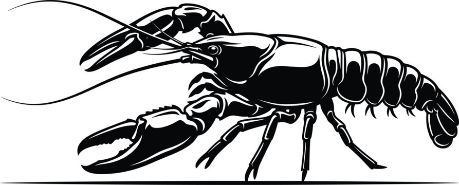 Fresh lobster crawfish marine animal vector black silhouette graphic illustration for restaurant seafood menu design