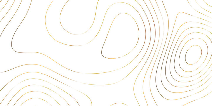 Abstract white golden gradient Topographic line map pattern background. Contour elevation topographic and textured Background Modern design with White background with topographic wavy patte